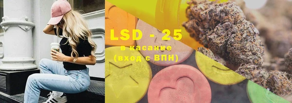 стаф Надым
