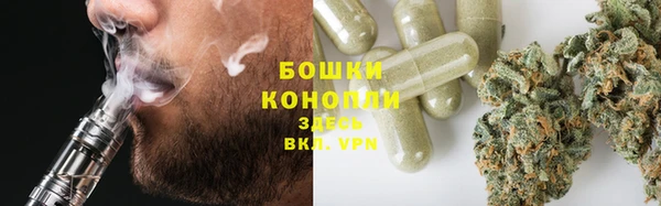 прущая мука Нея