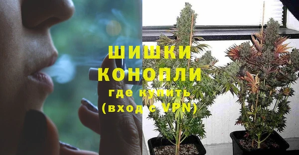 стаф Надым