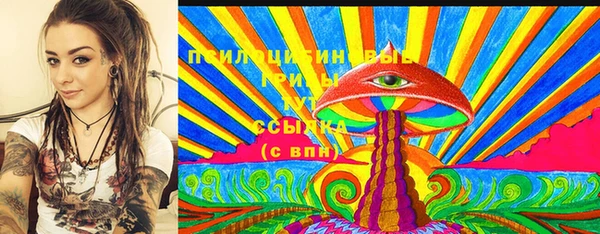 стаф Надым