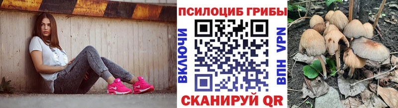 как найти закладки  hydra маркетплейс  Псилоцибиновые грибы ЛСД  Макушино 